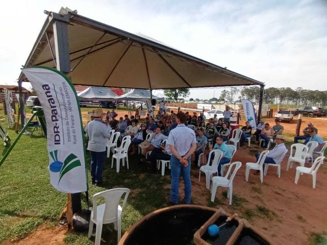 Evento do IDR-Paraná discute opção estratégica para pecuária no Arenito Caiuá