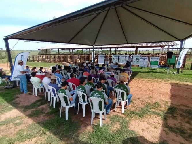 Evento do IDR-Paraná discute opção estratégica para pecuária no Arenito Caiuá