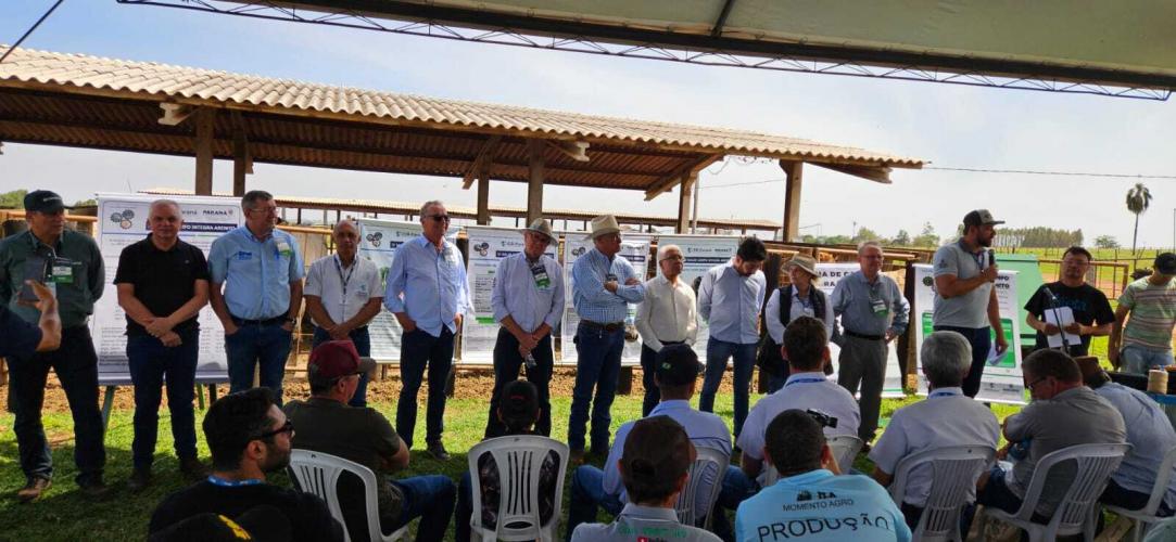 Evento do IDR-Paraná discute opção estratégica para pecuária no Arenito Caiuá