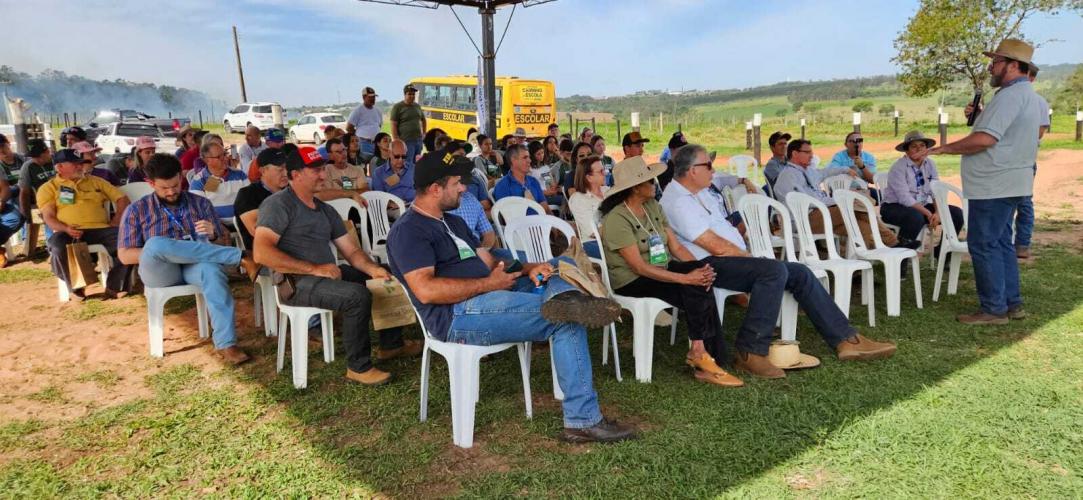 Evento do IDR-Paraná discute opção estratégica para pecuária no Arenito Caiuá