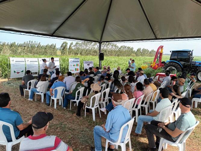 Evento do IDR-Paraná discute opção estratégica para pecuária no Arenito Caiuá