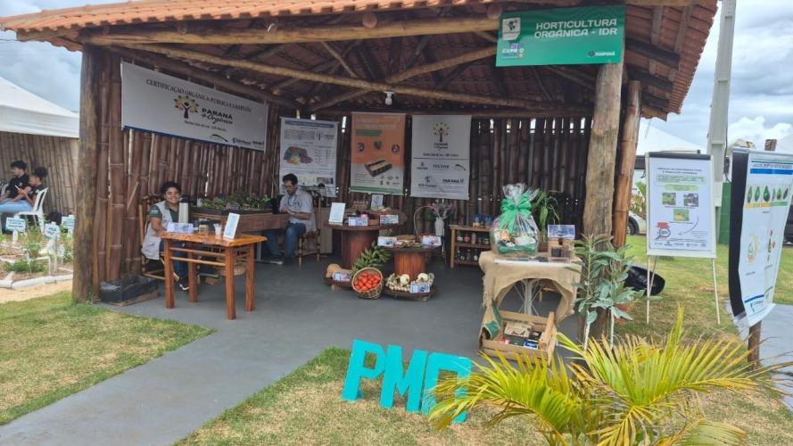 Expovale 2025 reforça protagonismo do agronegócio no Vale do Ivaí e deve atrair milhares de visitantes
