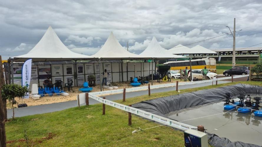 Expovale 2025 reforça protagonismo do agronegócio no Vale do Ivaí e deve atrair milhares de visitantes