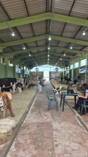 Expovale 2025 reforça protagonismo do agronegócio no Vale do Ivaí e deve atrair milhares de visitantes