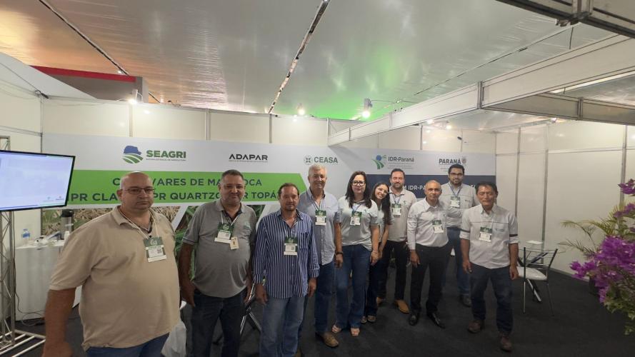 Com previsão de safra recorde, feira em Paranavaí traz novidades na área de mandioca