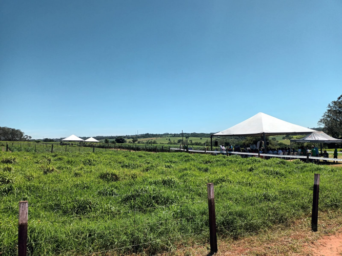 IDR-Paraná destaca avanços tecnológicos na Fiman 2025, em Paranavaí