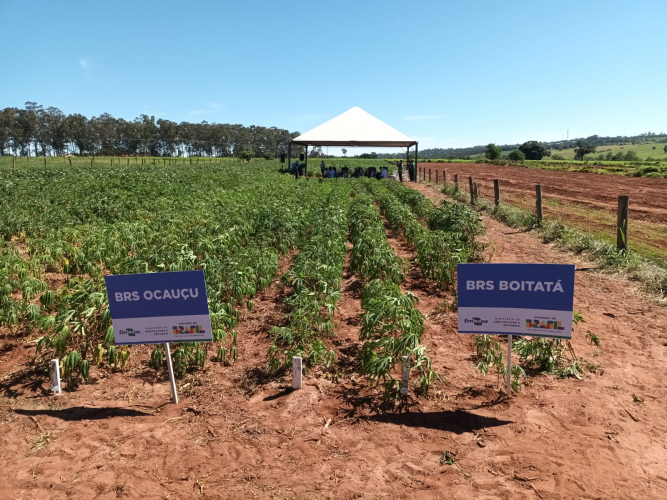 IDR-Paraná destaca avanços tecnológicos na Fiman 2025, em Paranavaí