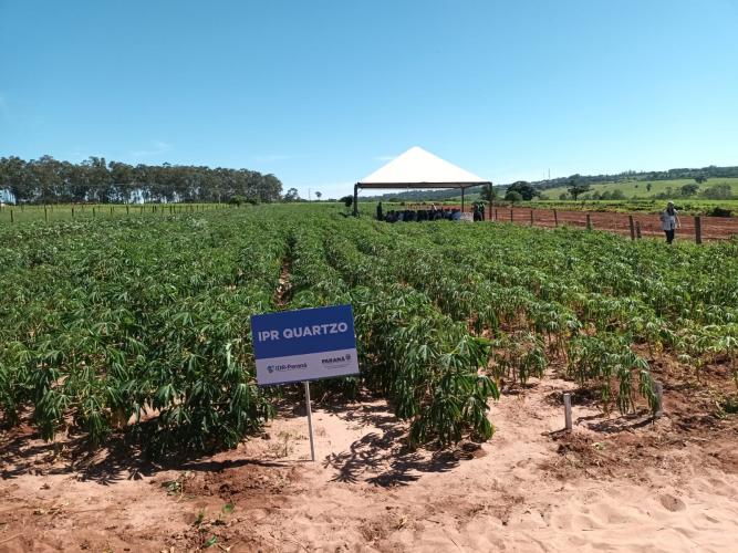 IDR-Paraná destaca avanços tecnológicos na Fiman 2025, em Paranavaí