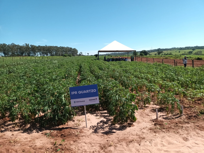 IDR-Paraná destaca avanços tecnológicos na Fiman 2025, em Paranavaí