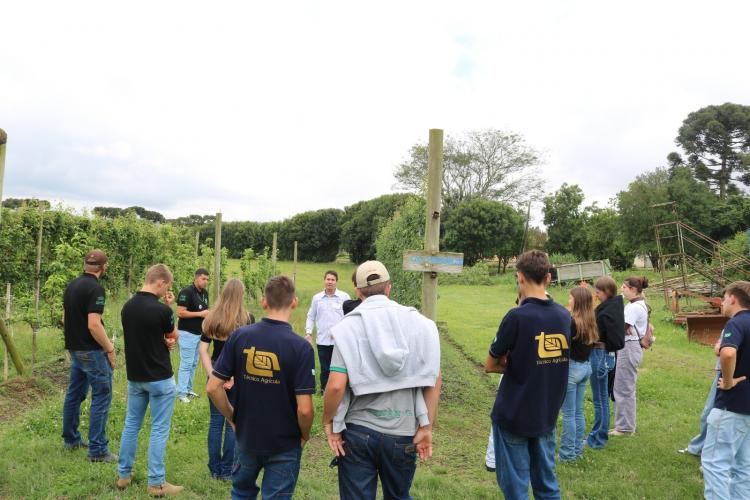Semana Frutifica Paraná destaca potencial da fruticultura e incentiva jovens a se fixarem no campo
