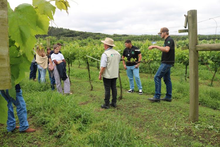 Semana Frutifica Paraná destaca potencial da fruticultura e incentiva jovens a se fixarem no campo