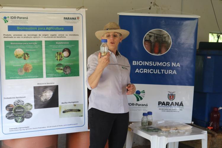 3º Encontro Mesorregional de Agroecologia reúne produtores na Estação de Pesquisa de Pinhais