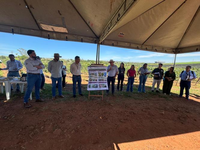 Produtores de uva de Marialva participam da 1ª Jornada Tecnológica em Fruticultura