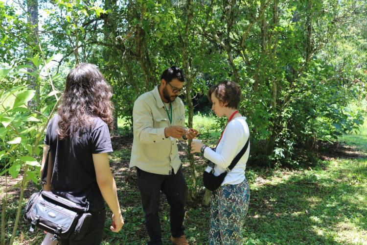 Quando a colheita encontra a mesa: Cestas Solidárias celebra resultados com encontro anual