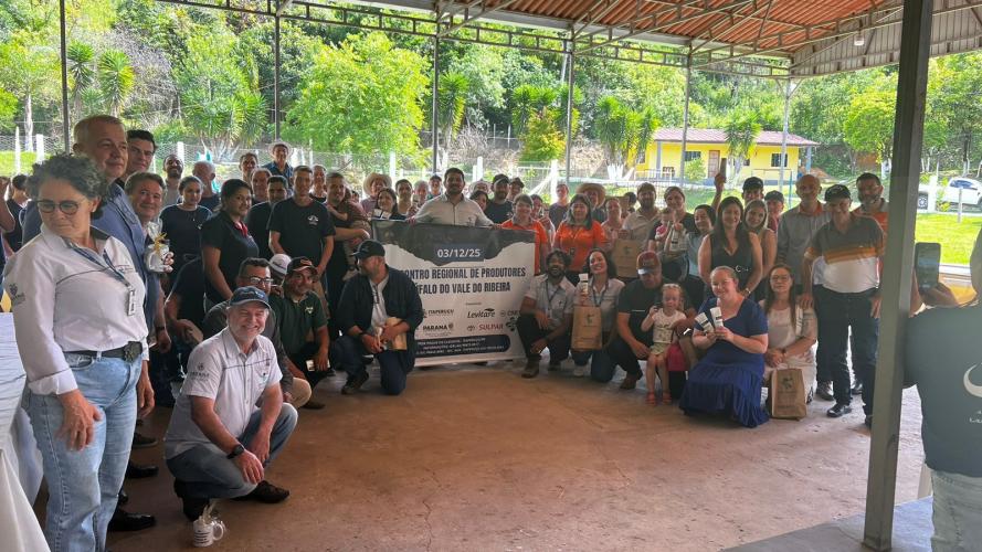 IDR-Paraná realiza ações para alavancar a cultura de búfalos no Paraná