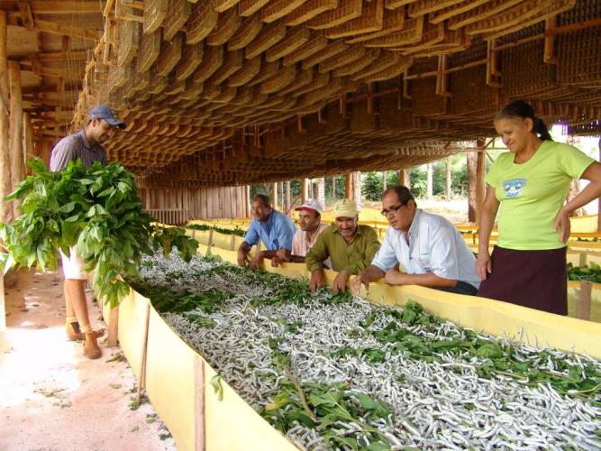 Governador sanciona reestruturação da carreira dos servidores do IDR-Paraná
