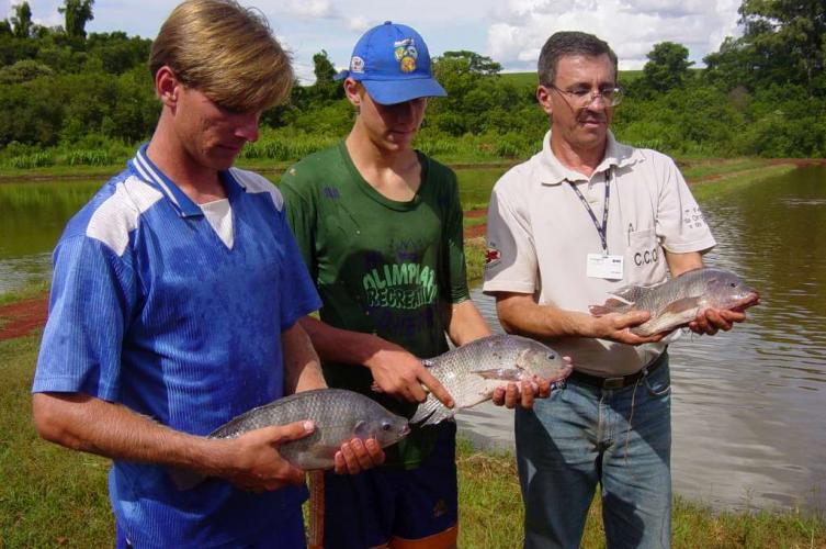 Governador sanciona reestruturação da carreira dos servidores do IDR-Paraná