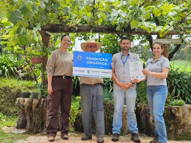 Rio Negro tem o maior erval orgânico da Região Metropolitana de Curitiba