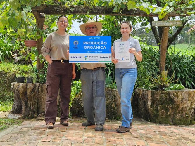 Rio Negro tem o maior erval orgânico da Região Metropolitana de Curitiba