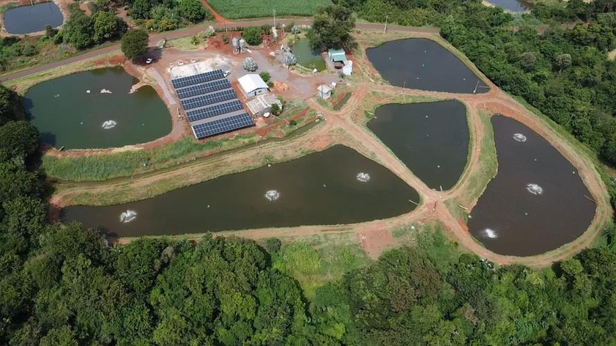 RenovaPR: Geração própria de energia reduz despesas e aumenta competitividade do agro paranaense