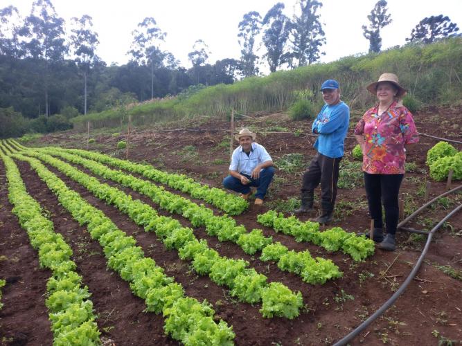 Governador sanciona reestruturação da carreira dos servidores do IDR-Paraná