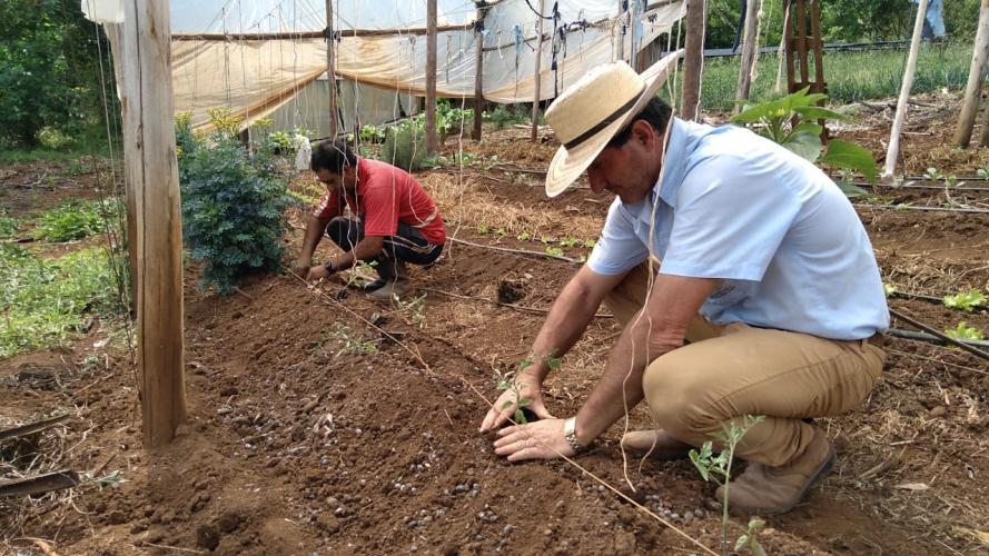 Dia do Extensionista: IDR-Paraná apresenta conquistas e projeta futuro da assistência rural