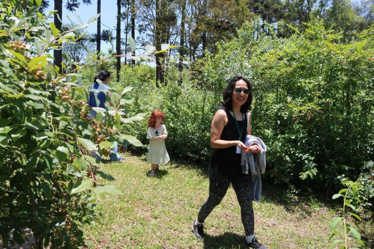 Quando a colheita encontra a mesa: Cestas Solidárias celebra resultados com encontro anual