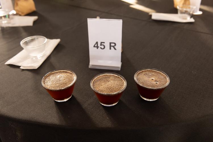 IDR Paraná promove Seminário de Cafés Especiais e premia os melhores cafés do norte do Estado