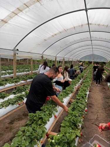 Agudos do Sul inaugura rota de turismo rural que valoriza a vida no campo entre colinas e araucárias