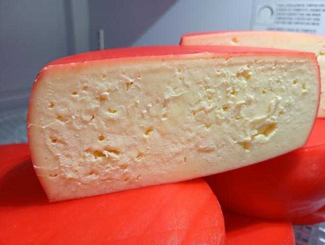 Pesquisa, dedicação e afeto: agroindústria cria queijo em homenagem a extensionista do IDR-Paraná