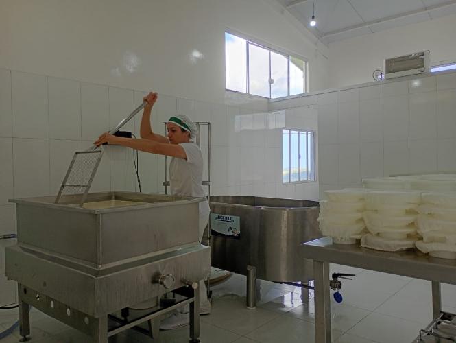 Pesquisa, dedicação e afeto: agroindústria cria queijo em homenagem a extensionista do IDR-Paraná