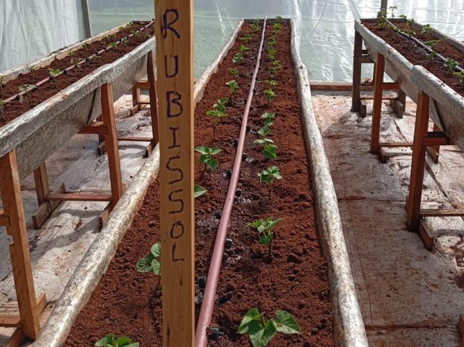 AgroTec 2026 consolida integração entre tecnologia, sustentabilidade e produção rural