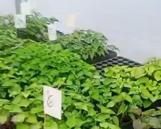 AgroTec 2026 consolida integração entre tecnologia, sustentabilidade e produção rural