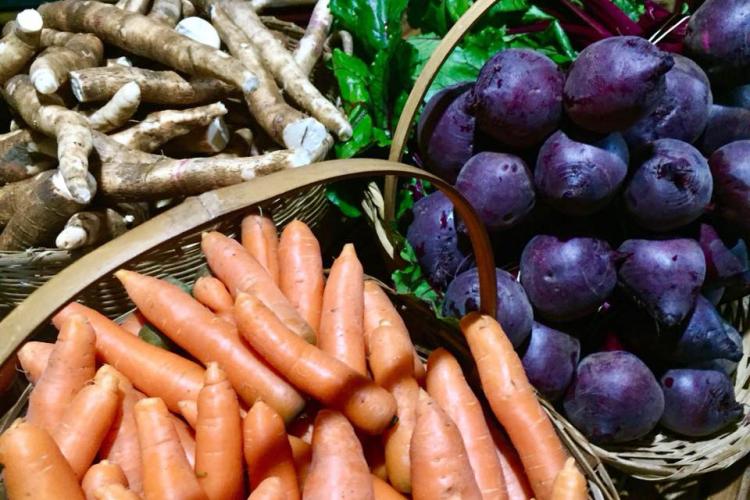 Paraná inicia censo inédito para mapear perfil da agricultura orgânica no Estado