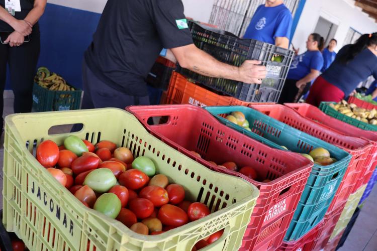Aparência nem sempre é qualidade: Seab orienta a evitar despercídio de alimentos