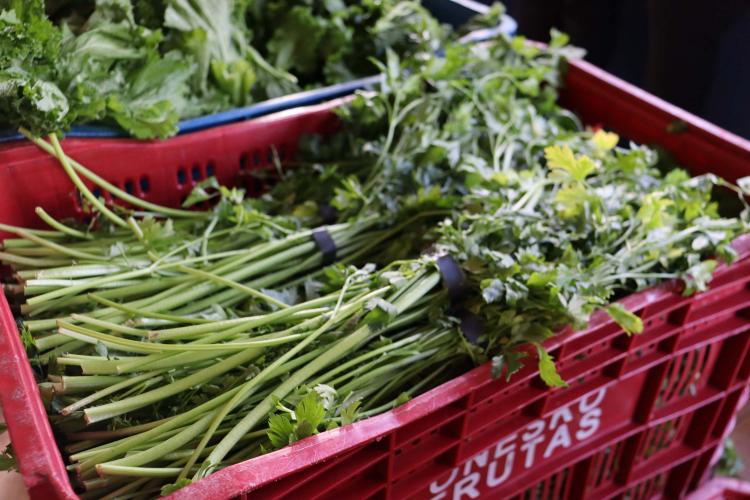 Aparência nem sempre é qualidade: Seab orienta a evitar despercídio de alimentos