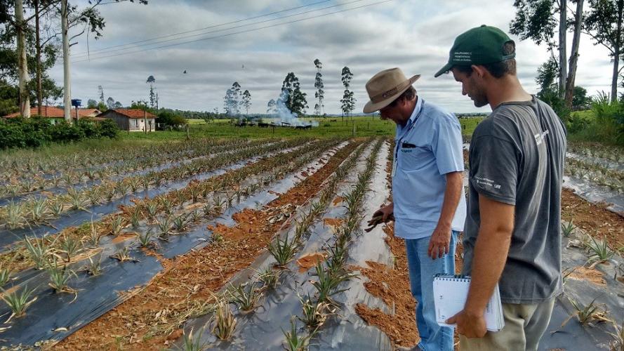IDR-Paraná divulga segunda chamada e reabre inscrições para o Processo de Seleção Simplificado