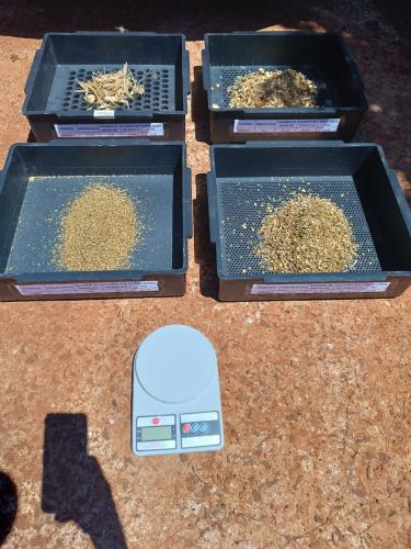 IDR-Paraná capacita produtores para aumentar eficiência da silagem na região de Campo Mourão