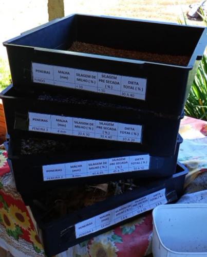 IDR-Paraná capacita produtores para aumentar eficiência da silagem na região de Campo Mourão