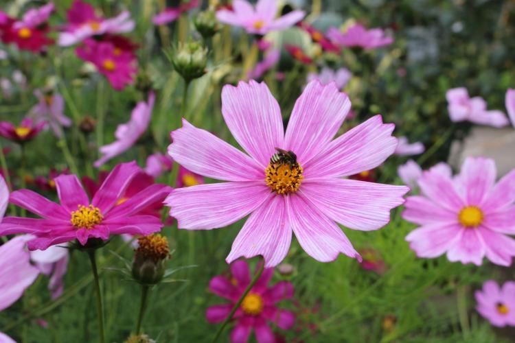 Casa da Agroecologia apresenta resultados e prepara avanços para 2026