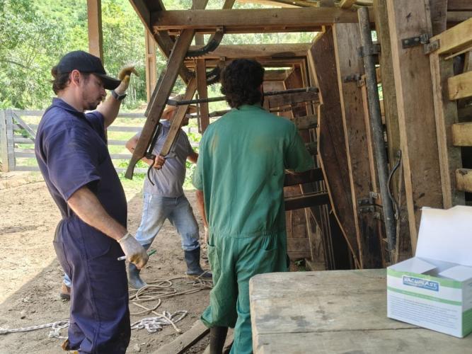 IDR-Paraná realiza exames brucelose e tuberculose em búfalos no Vale da Ribeira