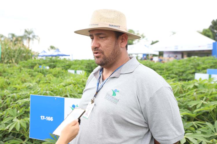 Resistentes e rentáveis: Estado lança cultivares de milho e mandioca no Show Rural