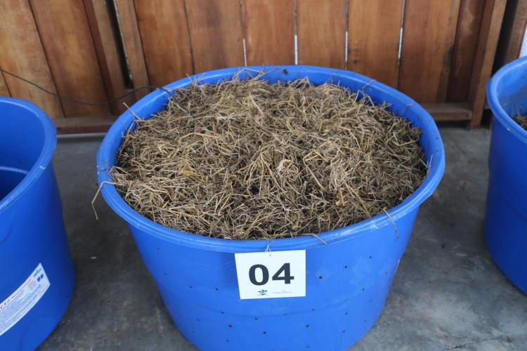 Projeto prevê transformar resíduos orgânicos em composto enriquecido com microrganismos