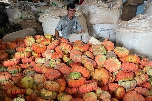 Boletim Agropecuário