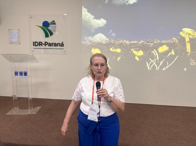 IDR-Paraná discute cooperação científica com universidade norte-americana