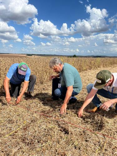 Concurso avalia perdas na colheita de soja, na região de Maringá