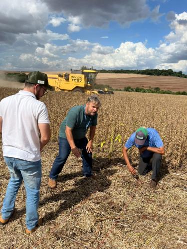 Concurso avalia perdas na colheita de soja, na região de Maringá