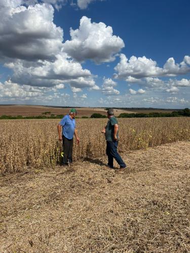 Concurso avalia perdas na colheita de soja, na região de Maringá