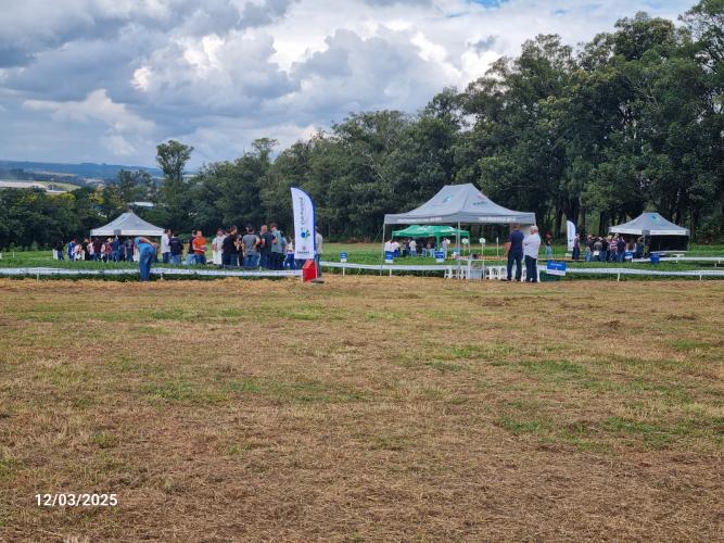 Feijão é tema de dia de campo em Ponta Grossa