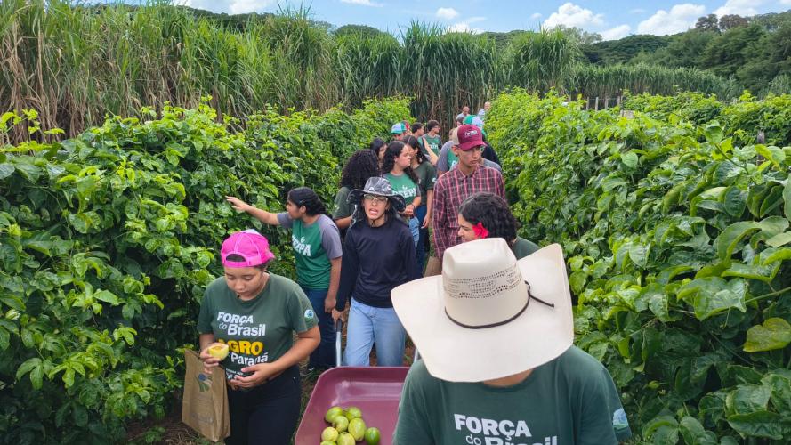 Atividade do projeto Vitórias